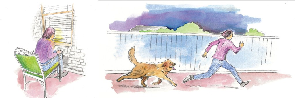 Two illustrations: Left: Trespasser at night spying on us through our bedroom window. Right: Bronco chasing off the trespasser (illustrations by Naomi Rosenblatt)