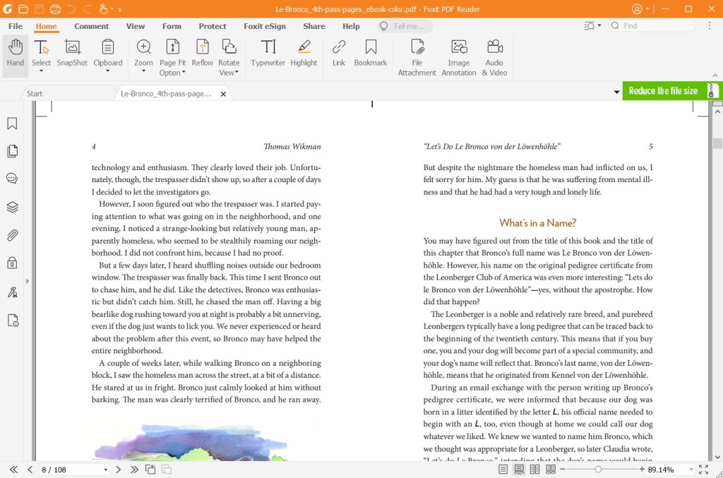 Book excerpt in pdf format ready for publishing