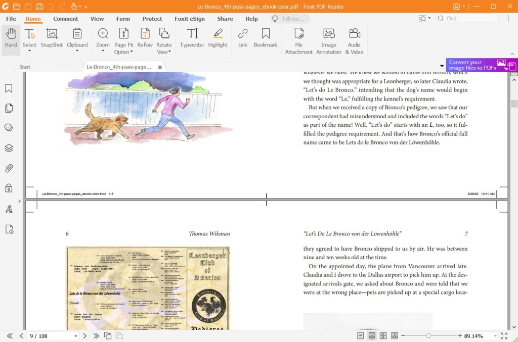 Screenshot of book excerpt ready for publishing
