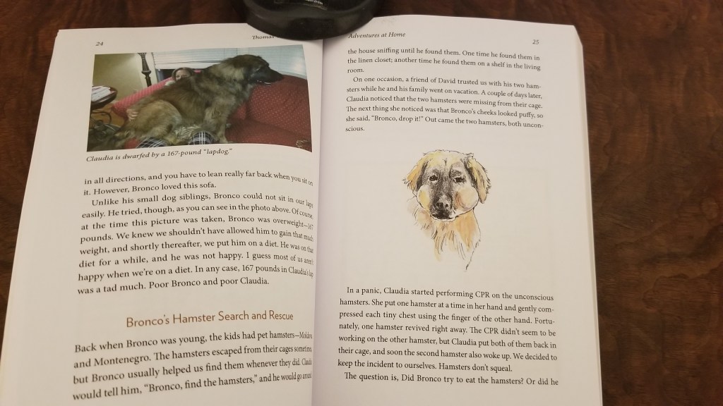 Book spread page 24 & 25 for the just released book The Life and Times of Le Bronco von der Löwenhöhle