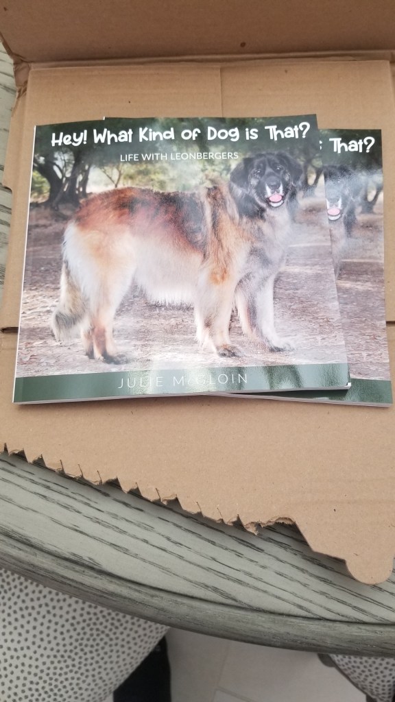 Photo of two copies of “Hey! What Kind of Dog is That?: Life With Leonbergers” arriving at my house. The photo includes the box.