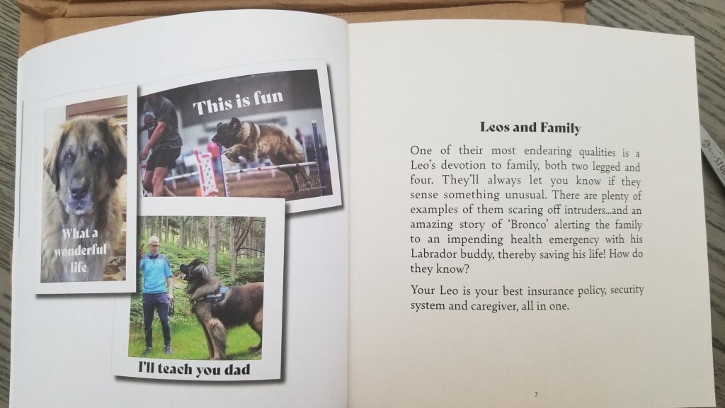 Photo of Page 6 & 7 spread in Hey! What Kind of Dog is That?: Life With Leonbergers, featuring our late Leonberger Bronco.