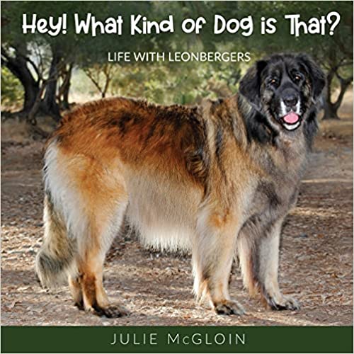 Photo of front cover for Hey! What Kind of Dog is That?: Life With Leonbergers, by Julie McGloin.