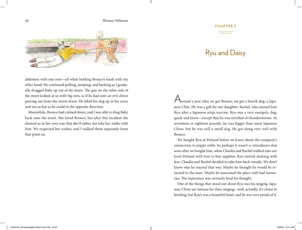 Page 42-43 of the book : The Life and Times of Le Bronco von der Löwenhöhle: Stories and Tips from Thirteen Years with a Leonberger