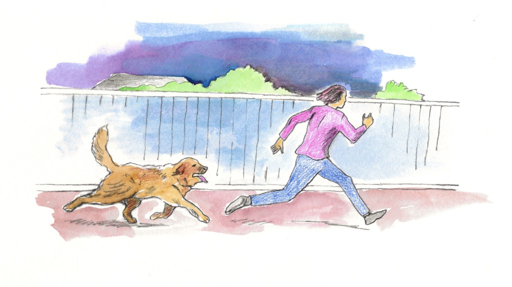Illustration of Leonberger chasing off a peeping Tom.