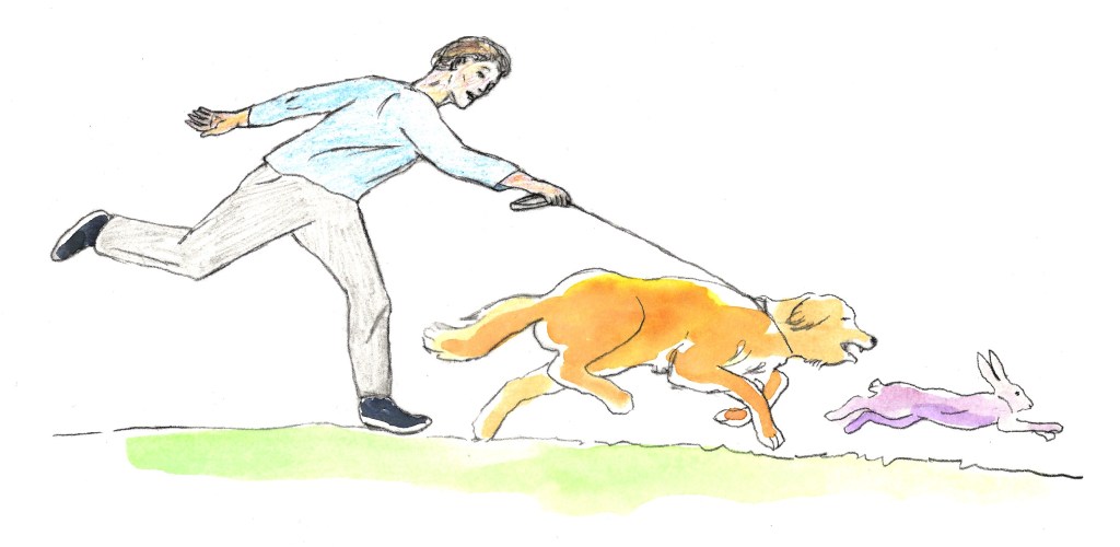 Illustration of me and our Leonberger Bronco chasing a rabbit. Rabbits are fun to chase, aren’t they? Some people think watching such games is hilarious.