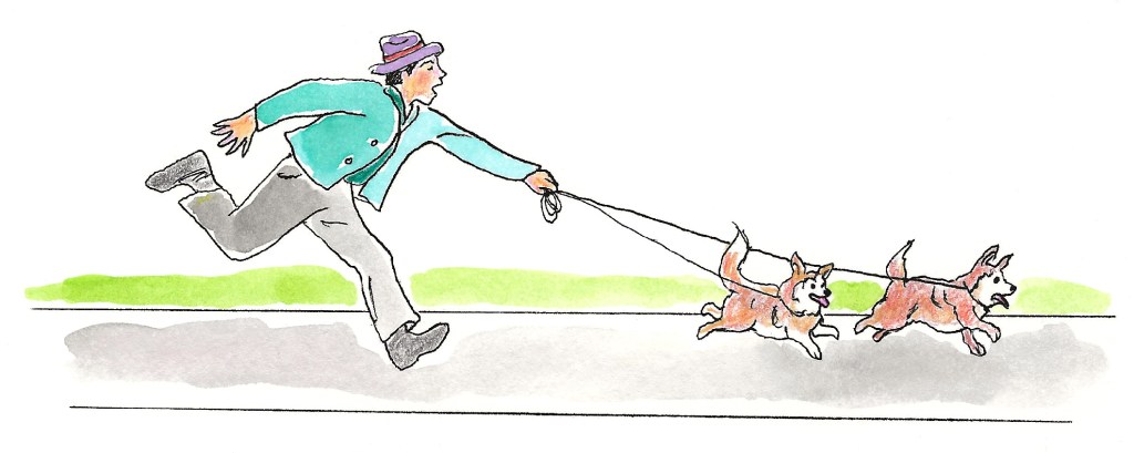 Illustration of neighbor running down the street with his corgis. Run for your life, yes run for your life dear. On the rare  occasions that Bronco was not well behaved it was better to flee. Illustration by Naomi Rosenblatt.
