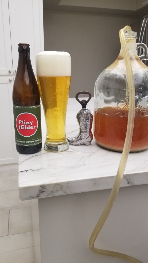 Photo of the homebrew bottling process using siphoning instead of pouring. This is to achieve some filtering and to avoid splashing. There is a beer in the photo. It is Pliny the Elder is one of the best India Pale Ales in the world.
