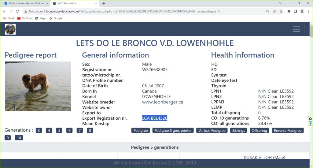 The is the old data base entry for Bronco has his name miss spelled as "Lets Do Le Bronco von der Löwenhöhle"