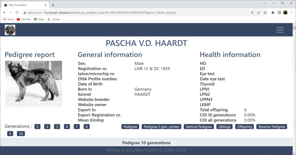 A screenshot of a database entry with a photo of a male Leonberger anno 1904.