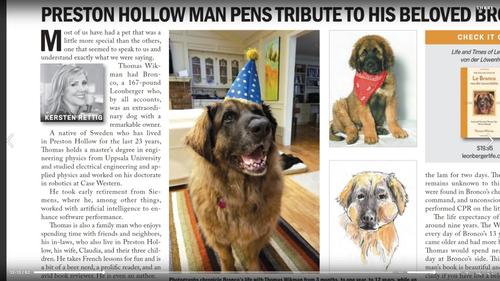 This zoom-in of the article in Preston Hollow Peoples Magazine show the top-left portion of the article. It feature text, our Leonberger Bronco wearing a party hat, a puppy picture and an illustration showing Bronco with two hamsters in his mouth.
