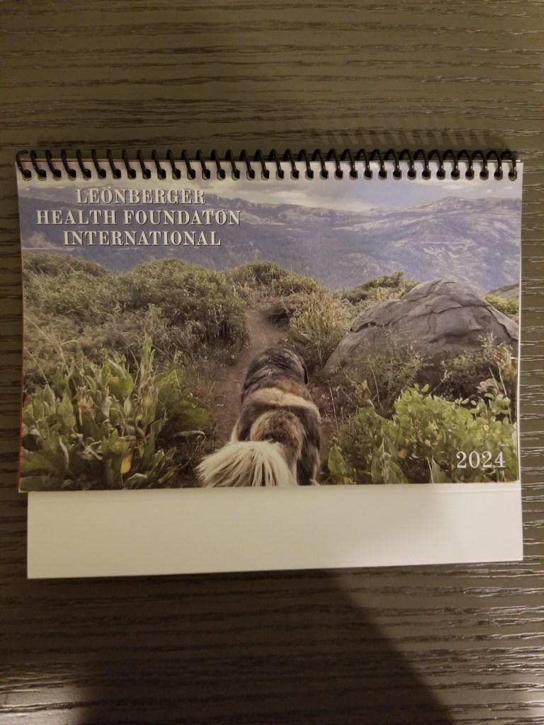 Front page of the LHFI Calendar showing a mountaneous landscape and a Leonberger