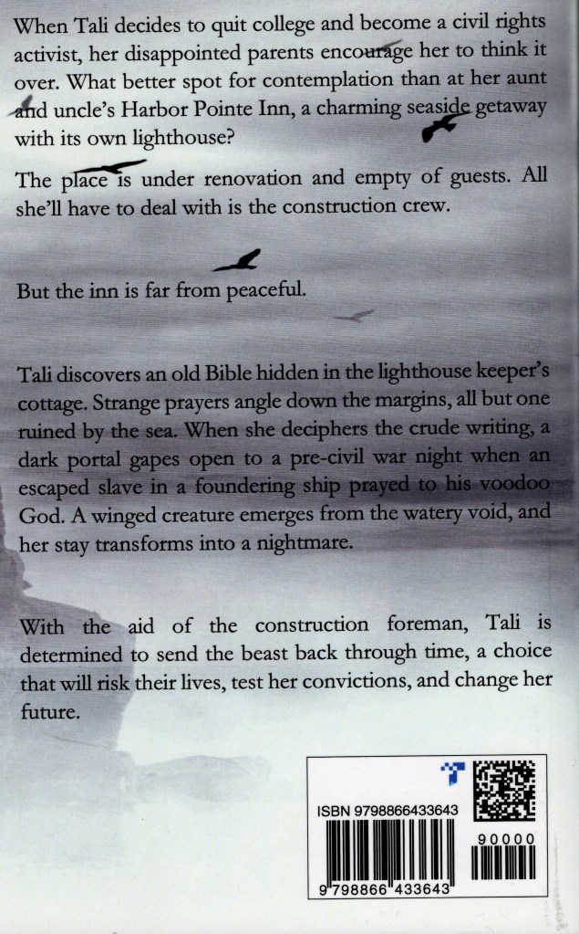 The back cover of The Seas of Time feature a description of the book, over clouds and birds