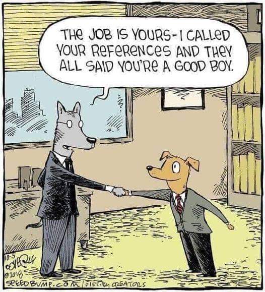 A dog at a job interview, the interviewer tells him “The job is yours. I called your references and they all said you’re a good boy.”