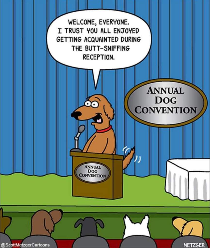 At the annual dog convention : Welcome, everyone. I trust you all enjoyed getting acquainted during the butt-sniffing reception.
