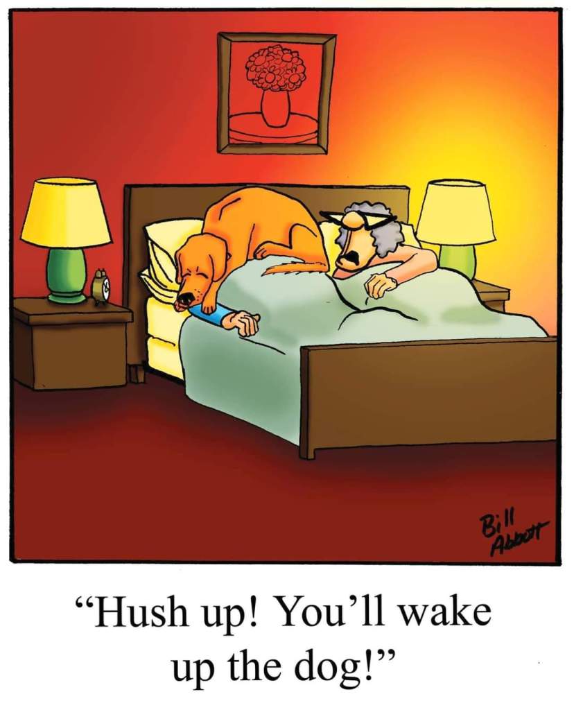 A couple in bed. The dog sleeps on top of the husband’s face. The wife says : Hush up you’ll wake up the dog.