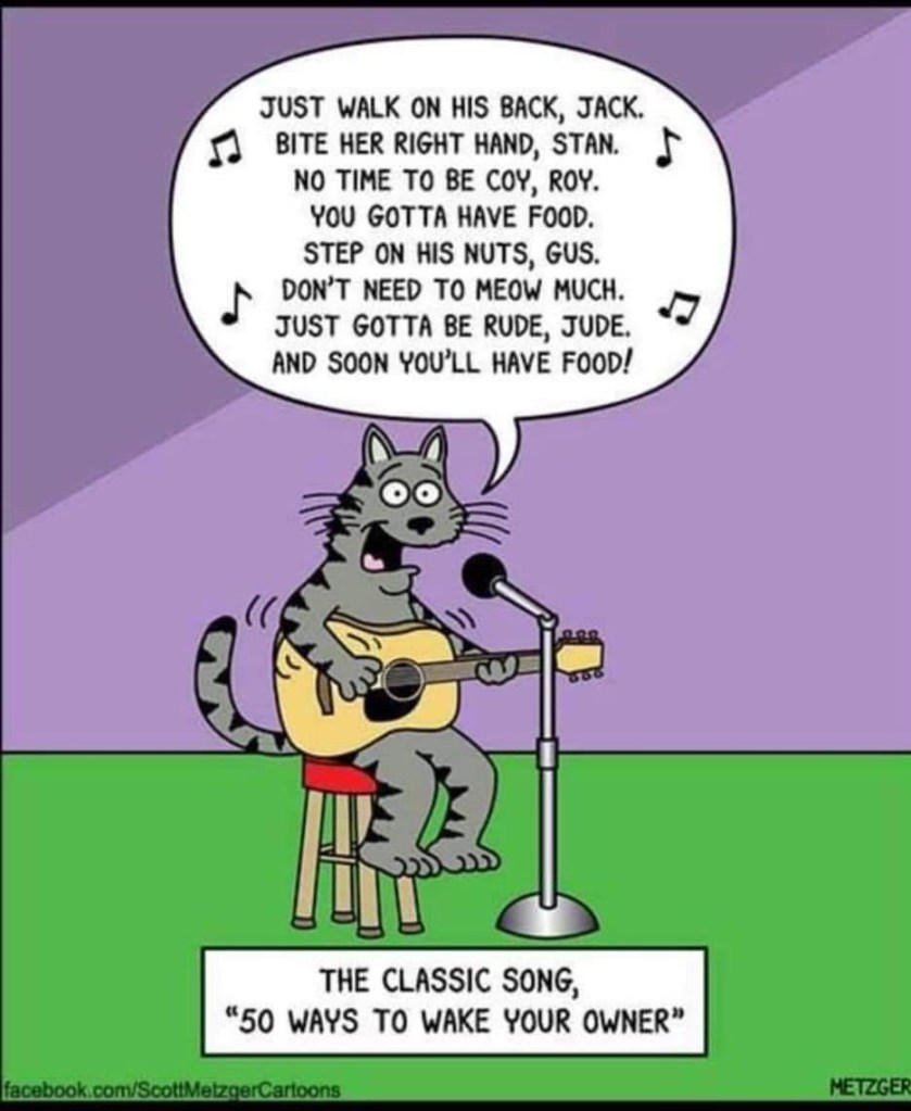 A cat is singing a Simon and Garfunkel song : Just walk on his back, Jack. Bite her right hand, Stan. No time to be coy, Roy. You gotta have food. Step on his nuts, Gus. Don’t need to meow much. Just gotta be rude, Jude. And soon you’ll have food.