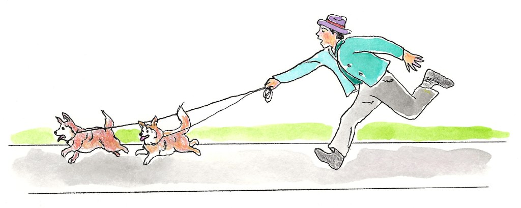 Illustration of man with a hat running holding two leashes, each with a corgi at the end.