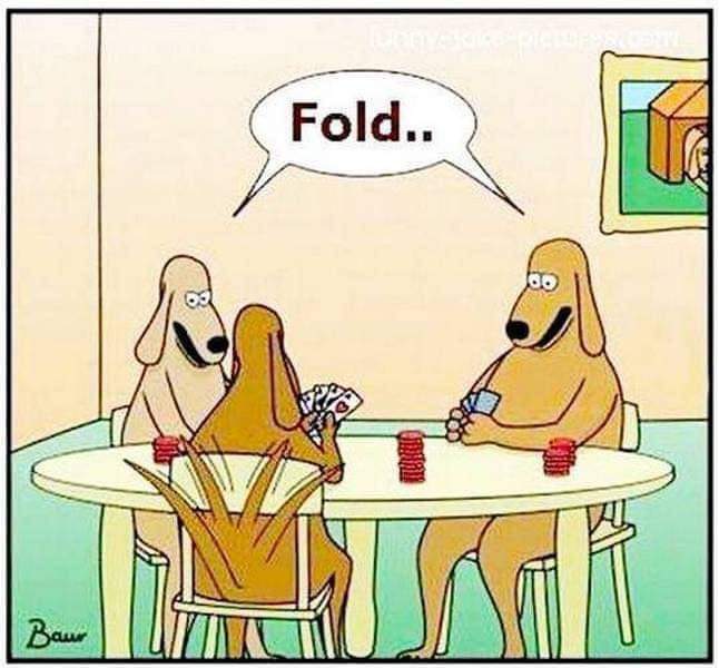 Three dogs are playing poker. One starts wagging his tail and then the others fold.