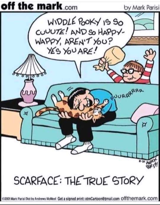 A man is playing with his cat and he has his face on her tummy. A boy approaches from behind ready to pop a paperbag filled with ait. The caption is Scarface: The true story.