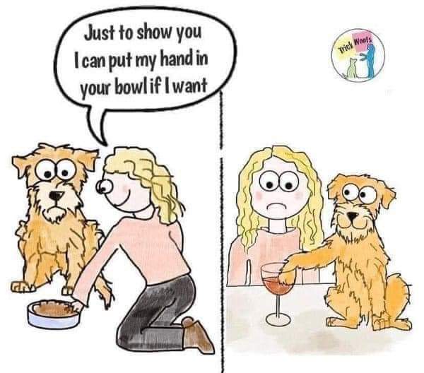 Woman says to dog : Just to show yiu I can put my hand in your bowl if I want. In return, dog puts his paw in her wine glass.