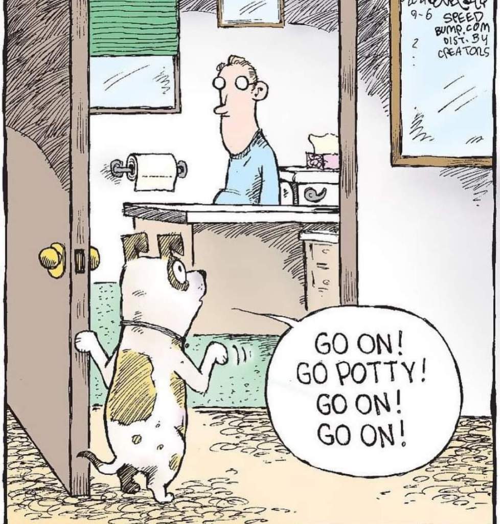 Dog enters bathroom and tells dad/master "Go on! Go potty! Go on! Go on!"