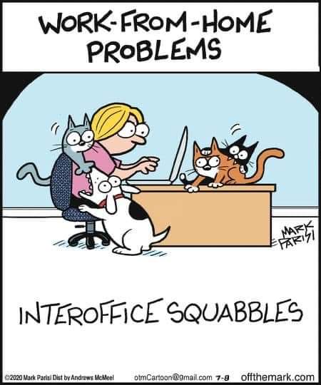 Woman sitting at her desk typing and trying to do work at home as a dog and cats are all over her making a scene. The caption says Work-from-home problems.