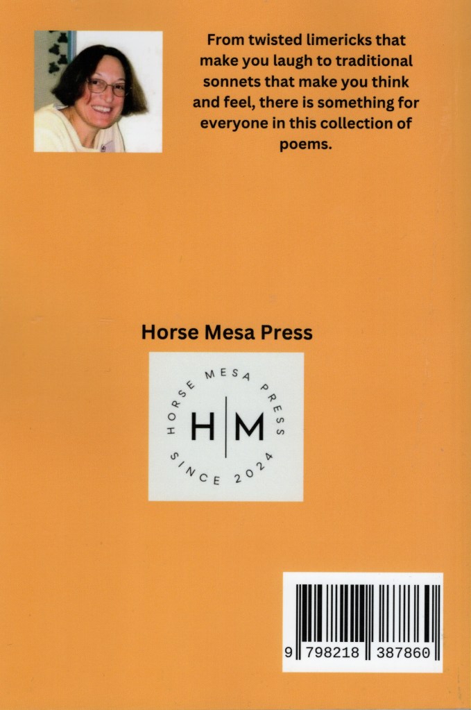 The back cover features a photo of Dawn Pisturino, imprint logo, and a brief description of the book.