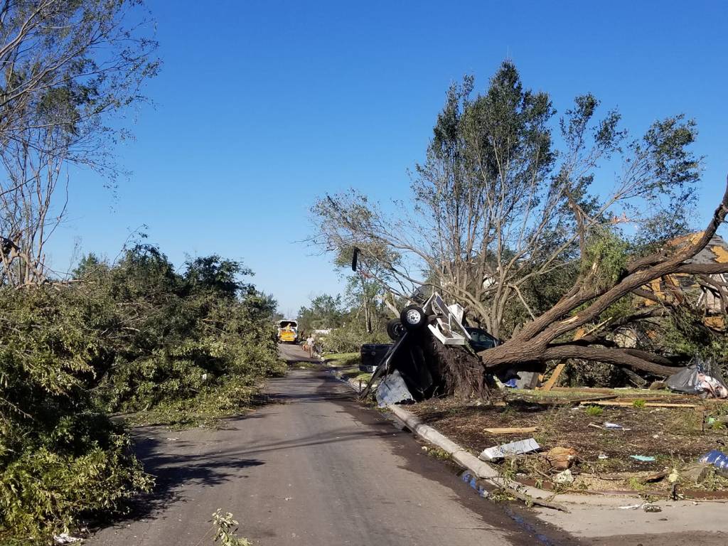 Trees are ripped up, vehicles are crushed.