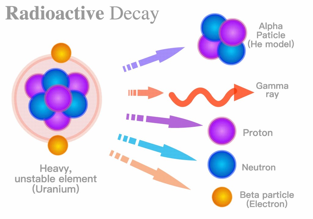 On the left a Uranium nucleus. On the right an alpha particle, gamma ray, proton, neutron, and a beta particle (electron), originating from the uranium nucleus.