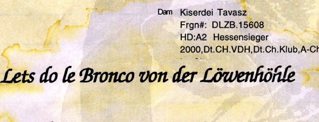 Portion of original birth certificate from LCA  showing the name to be “Lets Do Le Bronco von der Löwenhöhle”
