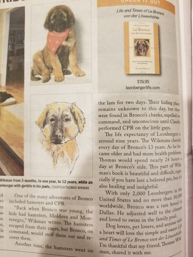 Right side of the review of “The Life and Times of Le Bronco von der Löwenhöhle”. It features a picture of Bronco as a puppy, an illustration of Bronco with puffy cheeks filled with hamsters and a picture of the front cover of my book.