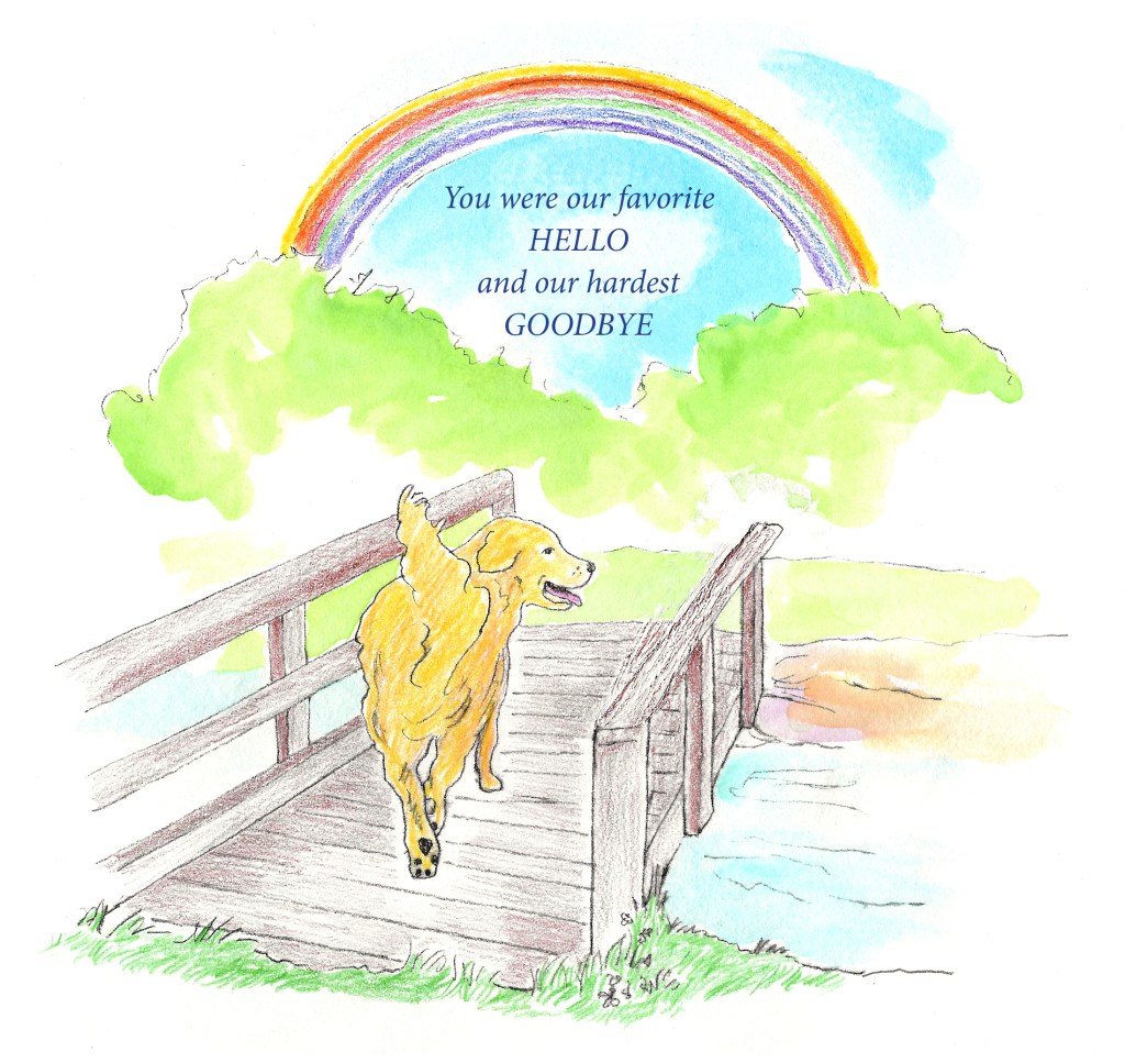 Illustration by Naomi Rosenblatt showing our Labrador Baylor crossing the rainbow bridge.