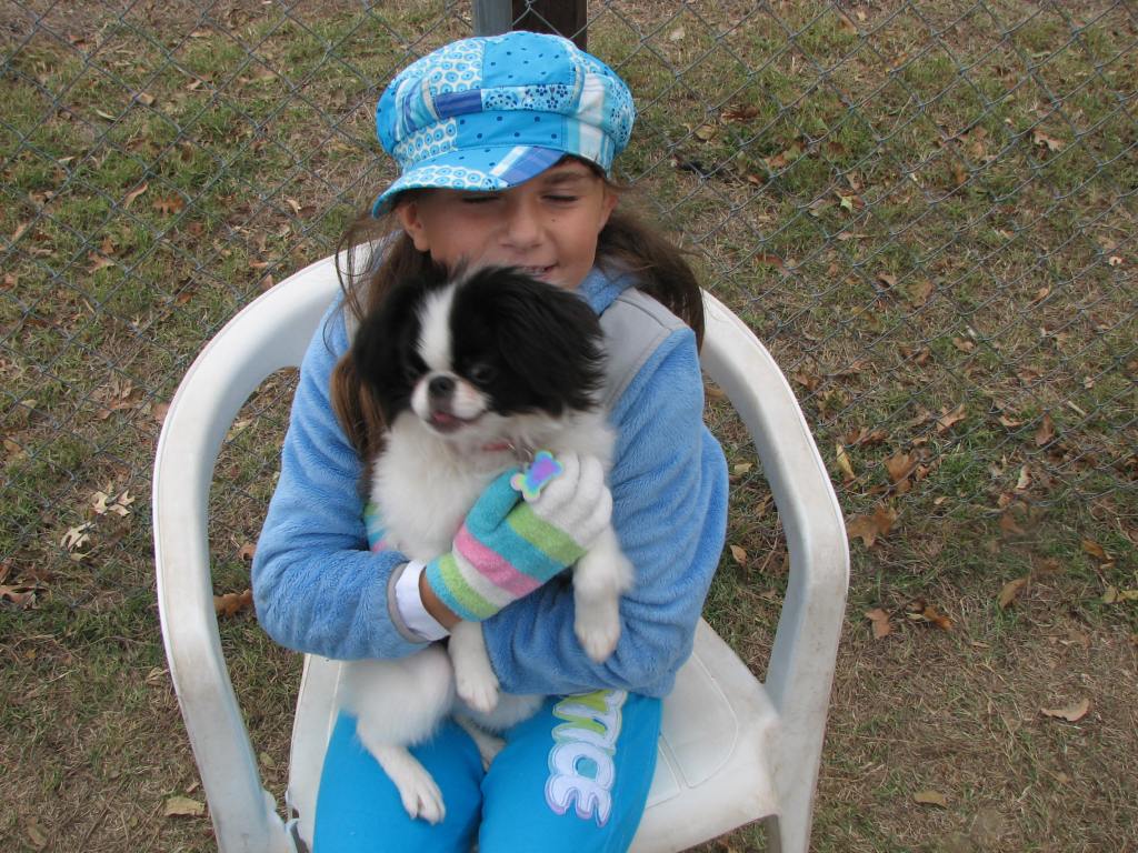 Photo of our daughter Rachel with Ryu her Japanese Chin. They are sitting on a chair at the dogpark.