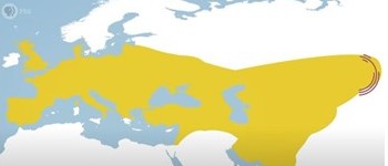 The picture features a map with a yellow area covering most of Europe, the Asian part of the middle  east and Asia up to Kazakhstan.