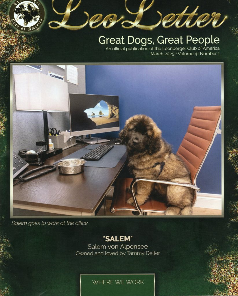The front cover of the LeoLetter magazine featuring a Leonberger Puppy sitting in from of a computer.