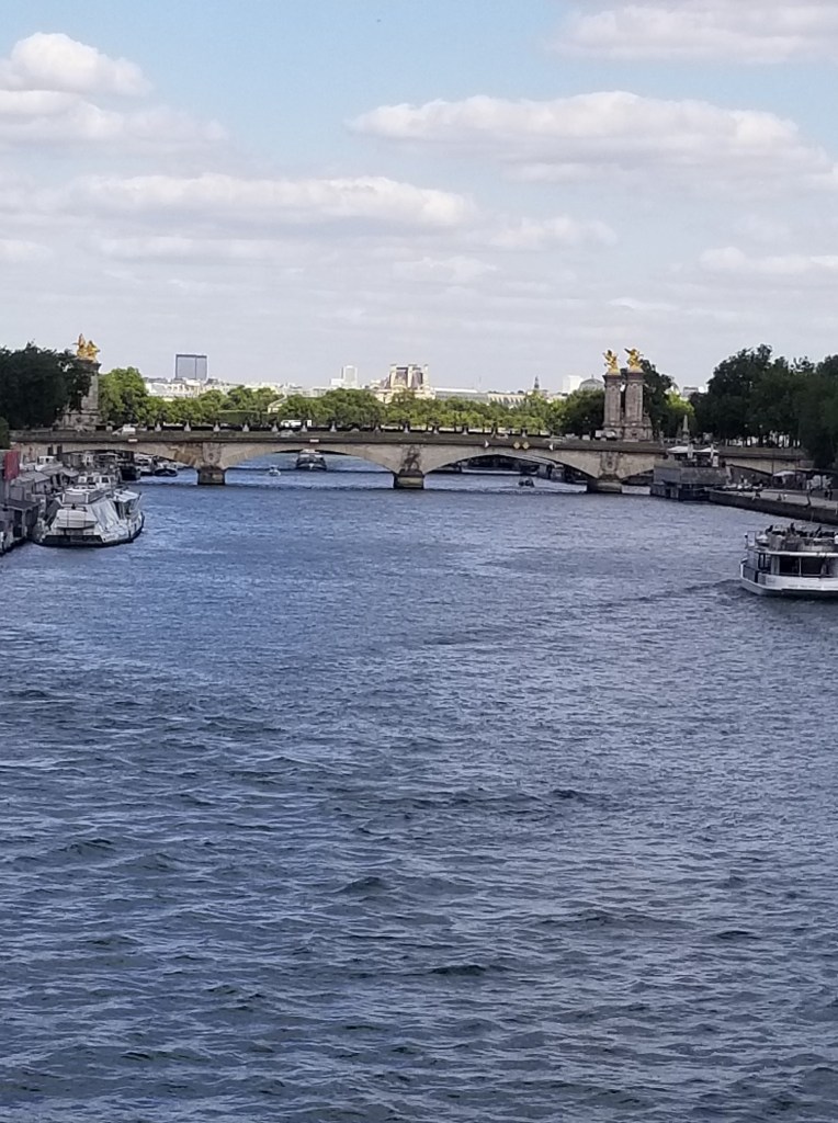 The photo shows the River Seine. There is a bridge across the river.