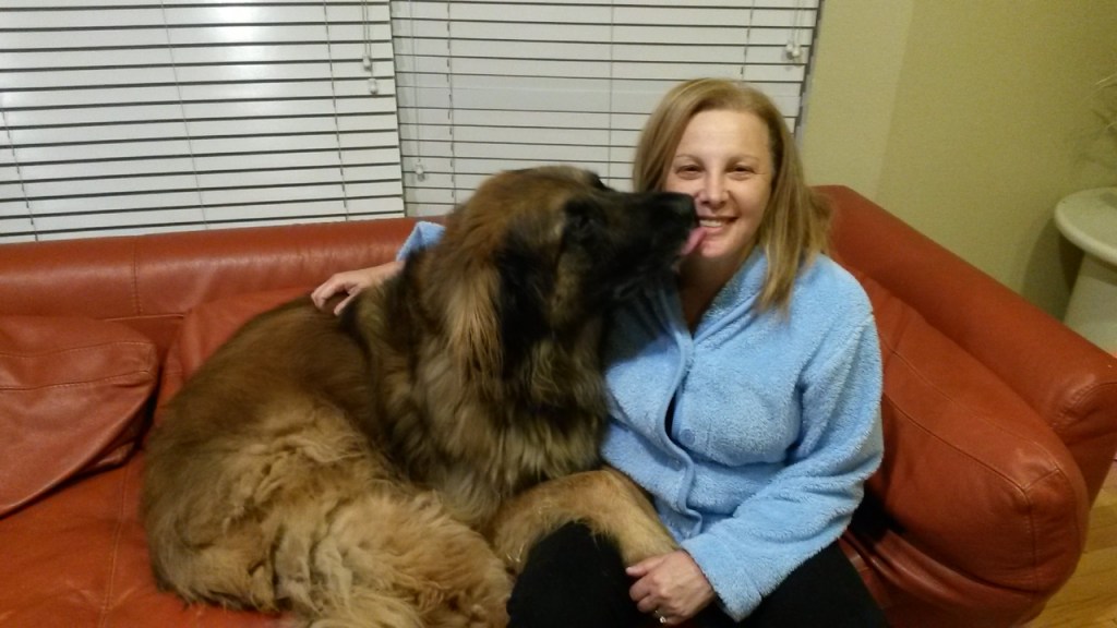 My wife Claudia and our Leonberger Bronco is sitting in a sofa. Claudia is on the right and Bronco on the left. They are sitting close and Bronco has his paws in her lap. Claudia is petting Bronco.