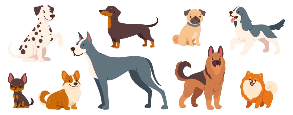 This illustration, cartoon feature nine dogs in two rows. In the top row is a Dalmatian, Dachshund, Pug, and Jack Russel.  The next row features a Chihuahua, Corgi, Great Dane, German Shepherd and a Pomeranian.