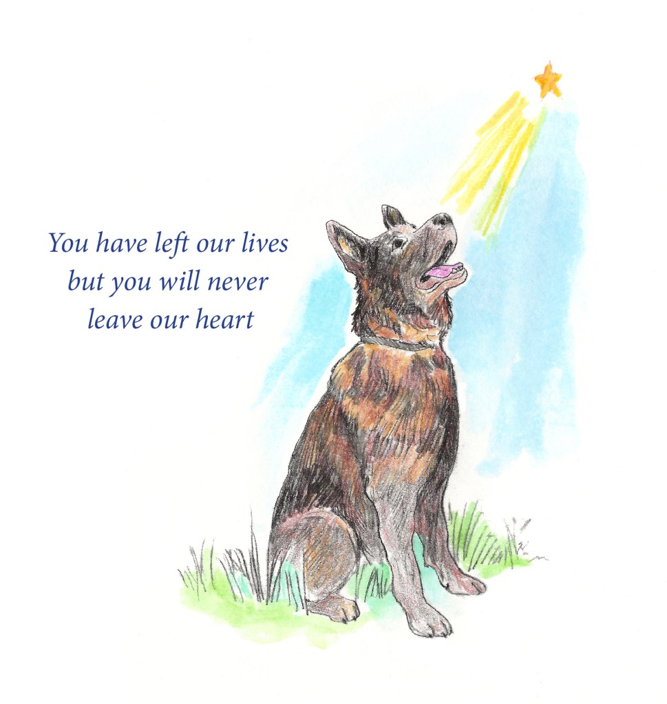 The picture shows a brown-black German Shepherd looking up at a star. The text says, “You have left our lives, but you will never leave our heart.”.