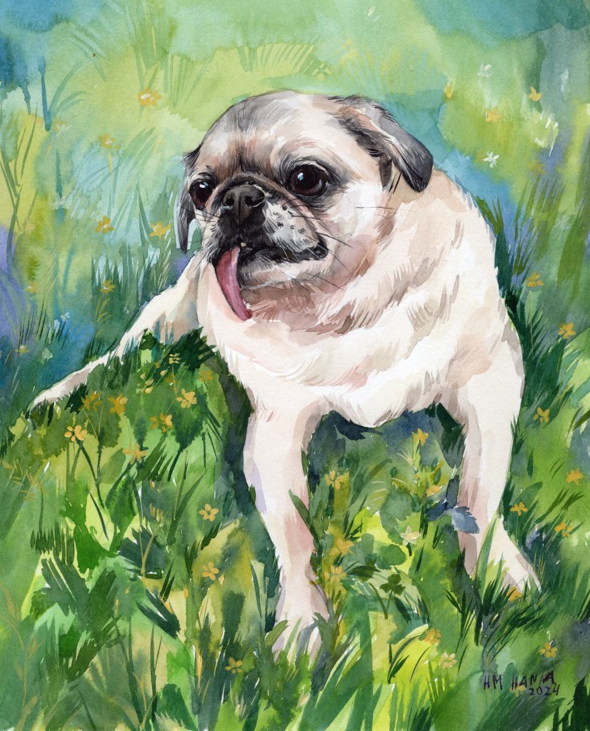 Daisy our beige pug is laying in the grass and there are some flowers.