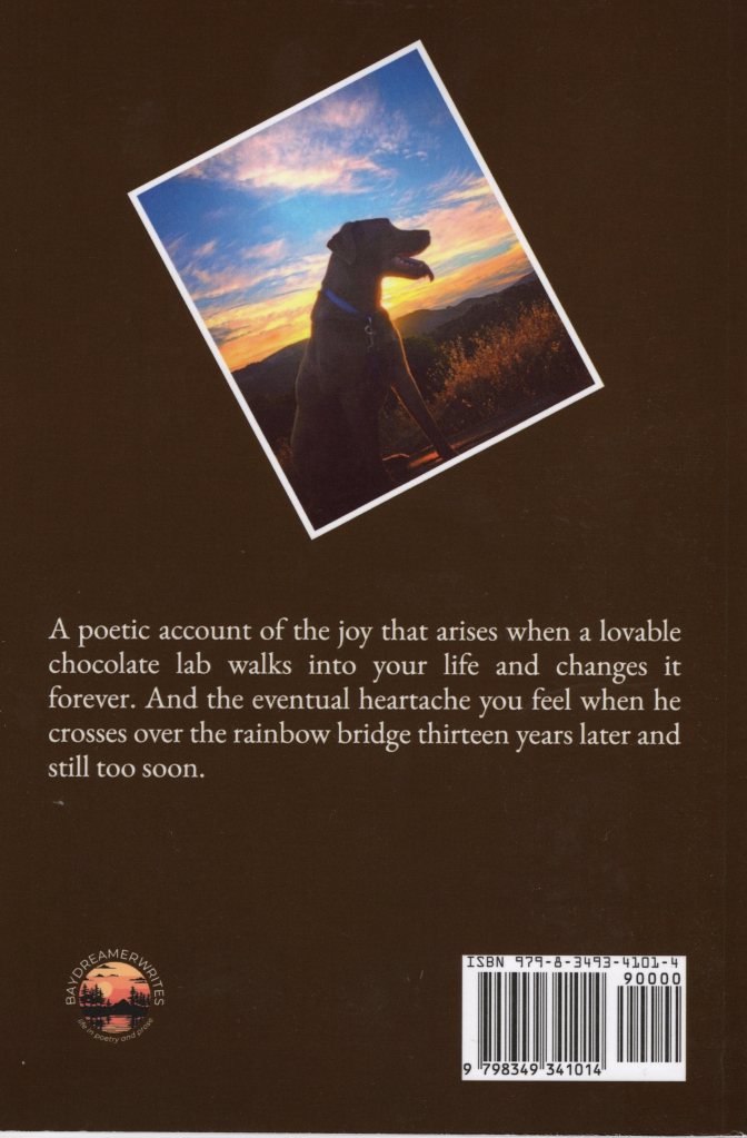 An overview of the book and a tilted photo of Copper, on a dark-brown background. The text says: “A poetic account of the joy that arises when a lovable chocolate lab walks into your life and changes it forever. And the eventual heartache you feel when he crosses the rainbow bridge thirteen years later and still too soon.”