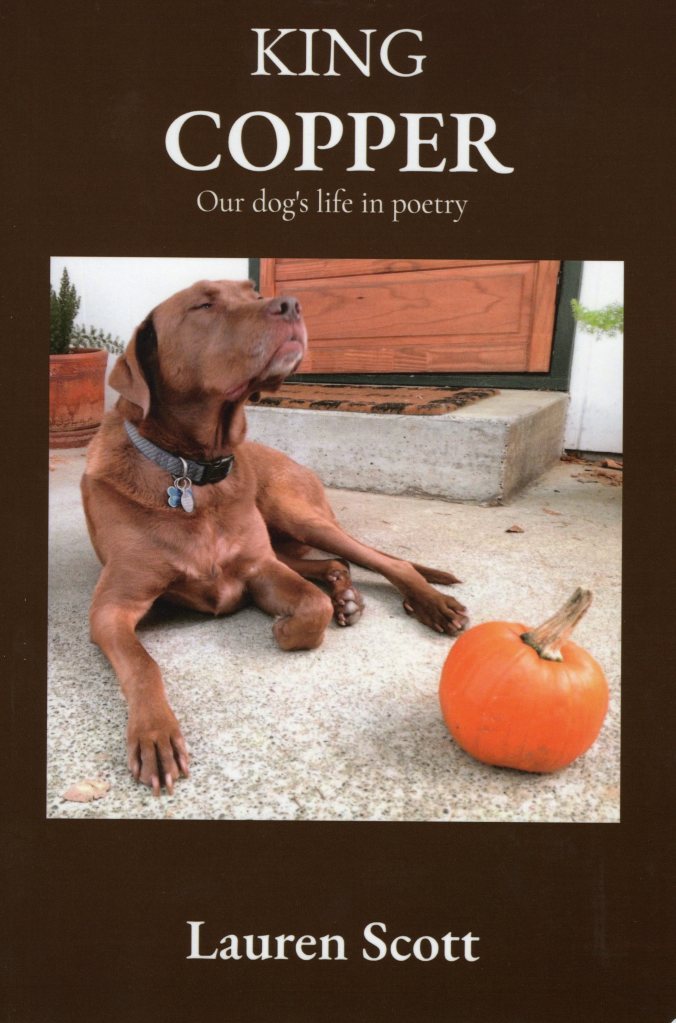 The front cover features the title and author, a big photo of Copper and a pumpkin.