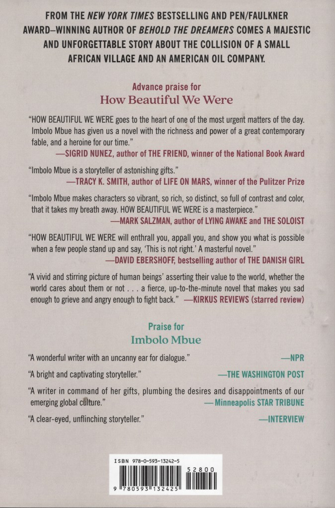 Advanced praise and short reviews for the book How Beautiful We Were.