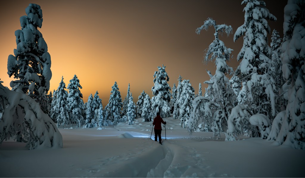 Female cross country skier walking through heavy snow in a wild pine forest at night.