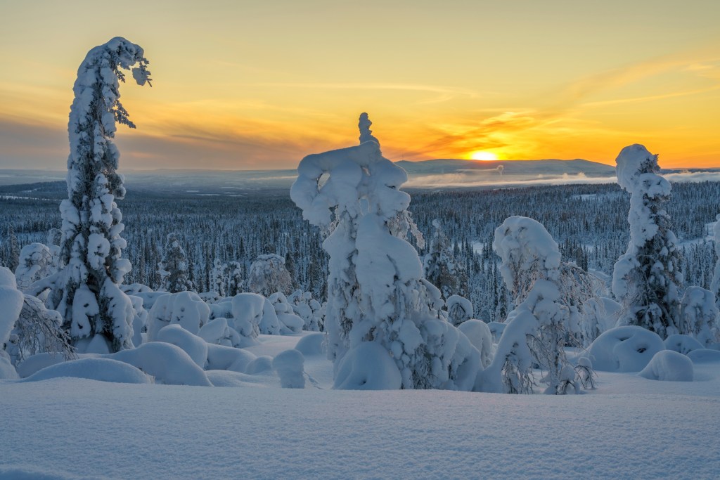 Winter landscape at sunset in direct light with plenty of snow on the trees, Gällivare county, Swedish Lapland, Sweden