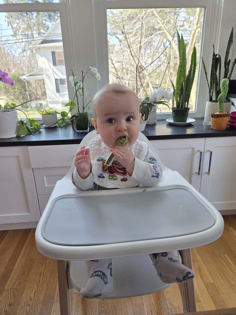 Jack is sitting in white highchair. He is looking straight ahead.