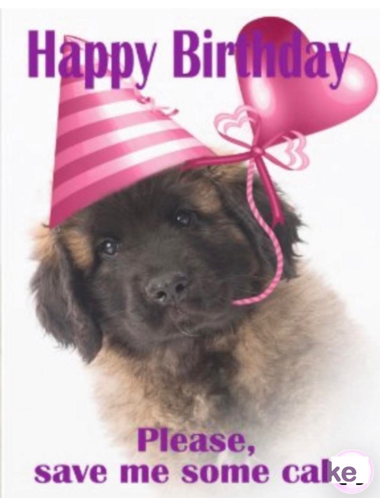 The pictures show a Leonberger puppy wearing a party hat and it says Happy Birthday.