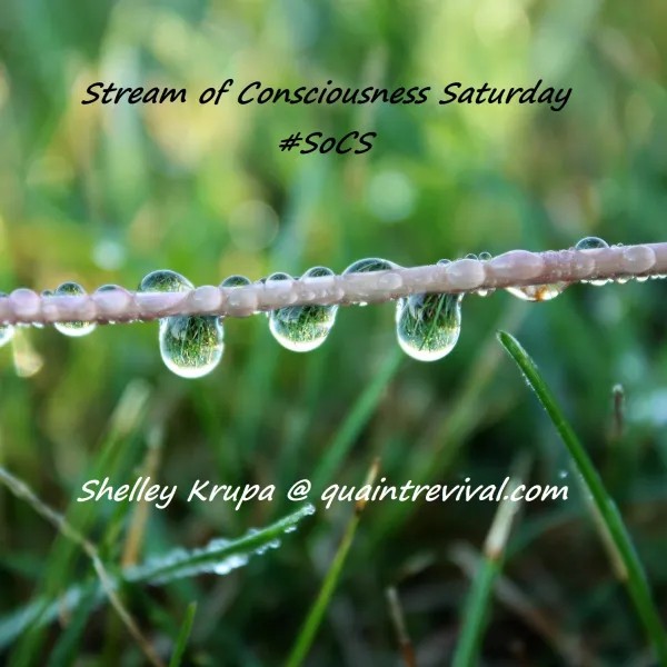 The badge features a twig with rain drops and it says Stream of consciousness Saturday #SoCS
