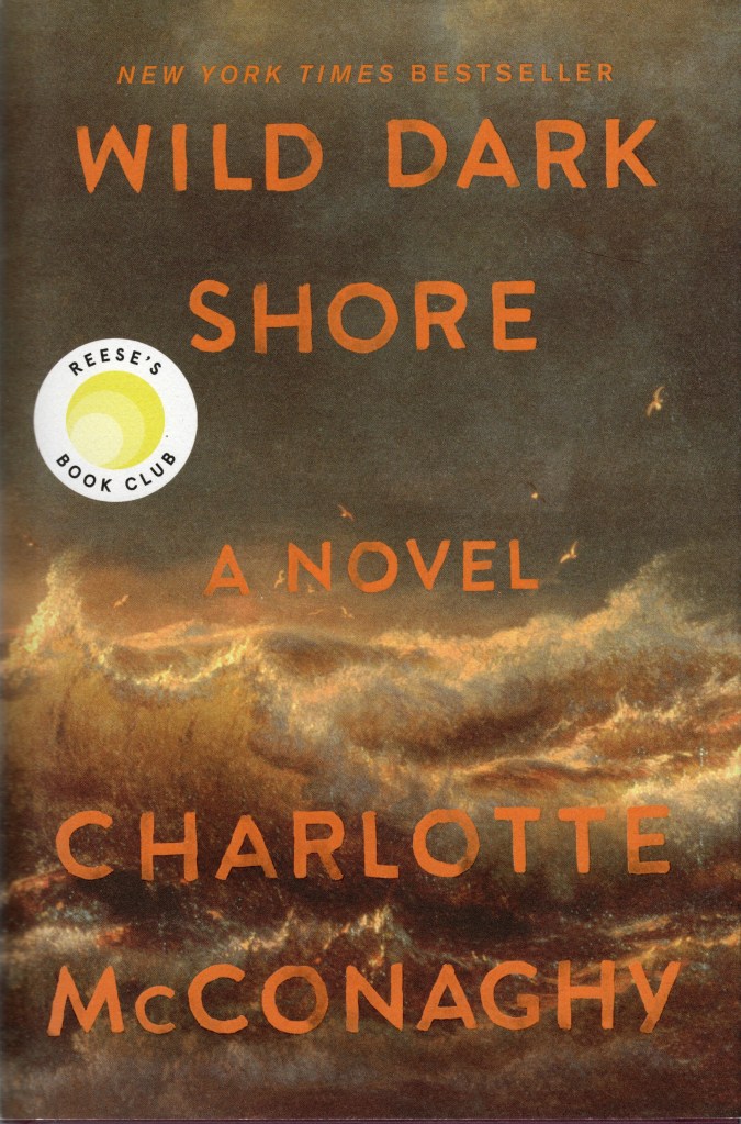 The front cover feauture the title and author name on the background of wild waves and dark storm clouds.